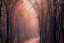 [NBA]东契奇33分 湖人结束四连败.