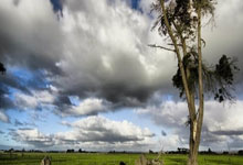 墨菲8次助攻伊萨克，为本赛季英超球员助攻同一队友最多.