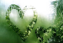 林孝埈因伤将退出短道速滑世界巡回赛北京站、首尔站比赛中国短道速滑队.