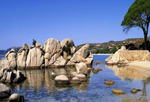 旺财28官方网站:勇士4人20+大胜国王 库里20+6巴特勒17+7德罗赞3.